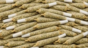 Cabbage Brothers Dundas Hamilton Stoney Creek Ontario cannabis flower and pre rolls - Cabbage Brothers cannabis dispensary in Dundas Ontario premium cannabis strains - Cabbage Brothers Hamilton Ontario marijuana dispensary live resin concentrates and edibles